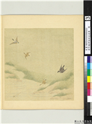 清阿尔粺劲翮宣威图　册　鹰鸭,绘画,翎毛,山水,花草