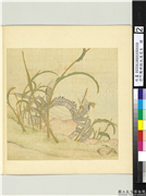 清阿尔粺临仇英写生　册　蟹蛙,绘画,水中动植物,花草