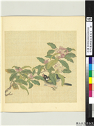 清阿尔粺临仇英写生　册　花鸟,绘画,树木,翎毛