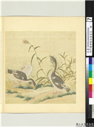 清阿尔粺临仇英写生　册　鹅芦苇,绘画,翎毛,花草