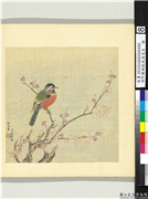 清阿尔粺临仇英写生　册　杏花鸟,绘画,花草,翎毛