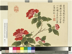 清钱维城画四气含和上册　册　山茶,绘画,花草