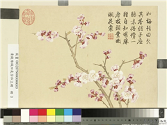 清钱维城画四气含和上册　册　杏花,绘画,花草