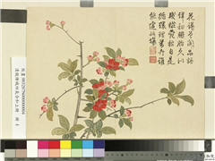 清钱维城画四气含和上册　册　海棠,绘画,花草