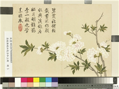 清钱维城画四气含和上册　册　梨花,绘画,花草