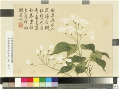 清钱维城画四气含和上册　册　楸花,绘画,花草