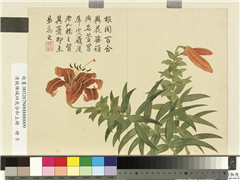 清钱维城画四气含和上册　册　萱花,绘画,花草
