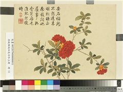 清钱维城画四气含和上册　册　石榴花,绘画,花草