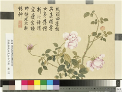 清钱维城画四气含和下册　册　月季花,绘画,花草
