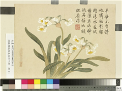清钱维城画四气含和下册　册　水仙,绘画,花草