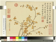 清钱维城画四气含和下册　册　蜡梅,绘画,花草