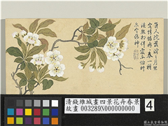 清钱维城画四景花卉春景　册　梨花,绘画,花草