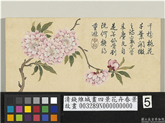 清钱维城画四景花卉春景　册　千叶桃,绘画,花草