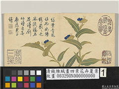 清钱维城画四景花卉夏景　册　淡竹叶,绘画,花草