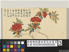 清钱维城画四景花卉夏景　册　石榴,绘画,花草