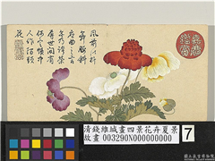 清钱维城画四景花卉夏景　册　虞美人,绘画,花草