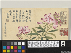 清钱维城画四景花卉夏景　册　夹竹桃,绘画,花草
