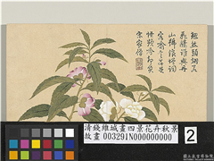 清钱维城画四景花卉秋景　册　凤仙花,绘画,花草