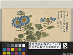 清钱维城画四景花卉秋景　册　蓝菊,绘画,花草
