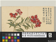 清钱维城画四景花卉秋景　册　剪秋罗,绘画,花草