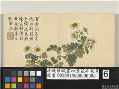 清钱维城画四景花卉秋景　册　木香菊,绘画,花草