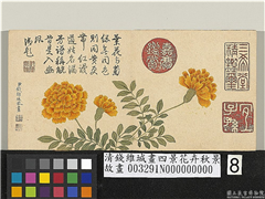 清钱维城画四景花卉秋景　册　万寿菊,绘画,花草