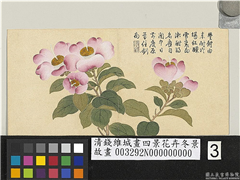 清钱维城画四景花卉冬景　册　杨妃梅,绘画,花草
