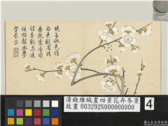 清钱维城画四景花卉冬景　册　玉蝶梅,绘画,花草