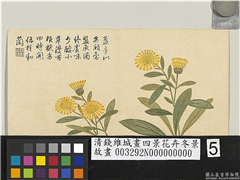 清钱维城画四景花卉冬景　册　金盏,绘画,花草