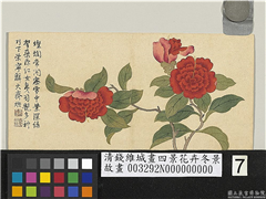 清钱维城画四景花卉冬景　册　宝珠茶花,绘画,花草
