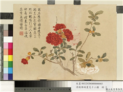 清钱维城夏华十二种　册　石榴花,绘画,花草