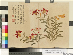 清钱维城夏华十二种　册　姬百合,绘画,花草