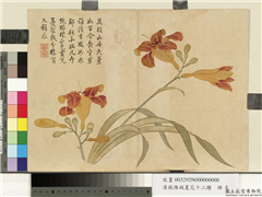 清钱维城夏华十二种　册　萱花,绘画,花草