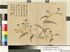 清钱维城夏华十二种　册　鸭跖草,绘画,花草