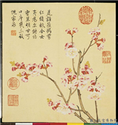 清钱维城画花卉　册　杏花,绘画,花草