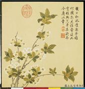 清钱维城画花卉　册　梨花,绘画,花草