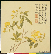 清钱维城画花卉　册　桃花,绘画,花草