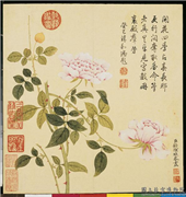 清钱维城画花卉　册　月季,绘画,花草