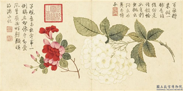 清钱维城画花卉　册　杜鹃绣球,绘画,花草
