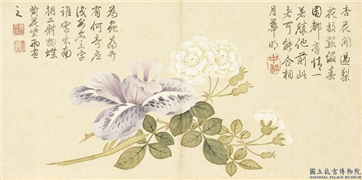 清钱维城画花卉　册　梨花鸢尾,绘画,花草
