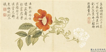 清钱维城画花卉　册　茉莉凌霄,绘画,花草