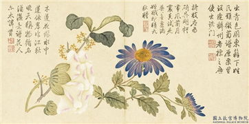清钱维城画花卉　册　芙蓉桂花,绘画,花草
