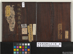 清钱维城绘花卉（下）　册,绘画,