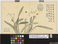 清钱维城绘花卉（上）册　水仙,绘画,花草