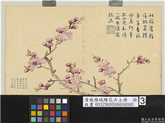 清钱维城绘花卉（上）册　杏花,绘画,花草