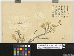 清钱维城绘花卉（上）册　玉兰,绘画,花草