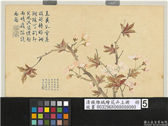 清钱维城绘花卉（上）册　樱桃花,绘画,花草