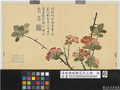 清钱维城绘花卉（上）册　贴梗海棠,绘画,花草