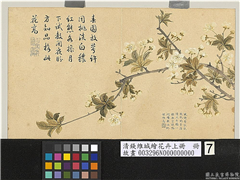 清钱维城绘花卉（上）册　李花,绘画,花草
