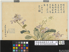 清钱维城绘花卉（上）册　诸葛茉花,绘画,花草
